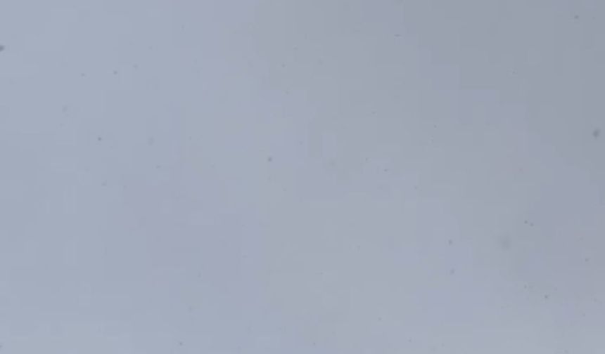 Iğdır’ın Aralık ilçesine bağlı Yenidoğan Köyü, mart ayında etkili olan kar yağışıyla beyaza büründü.