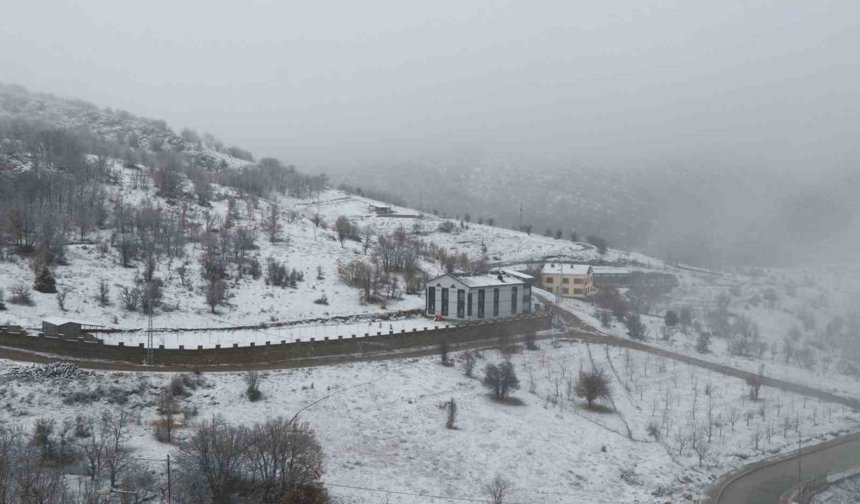 Kar yağışı başladı
