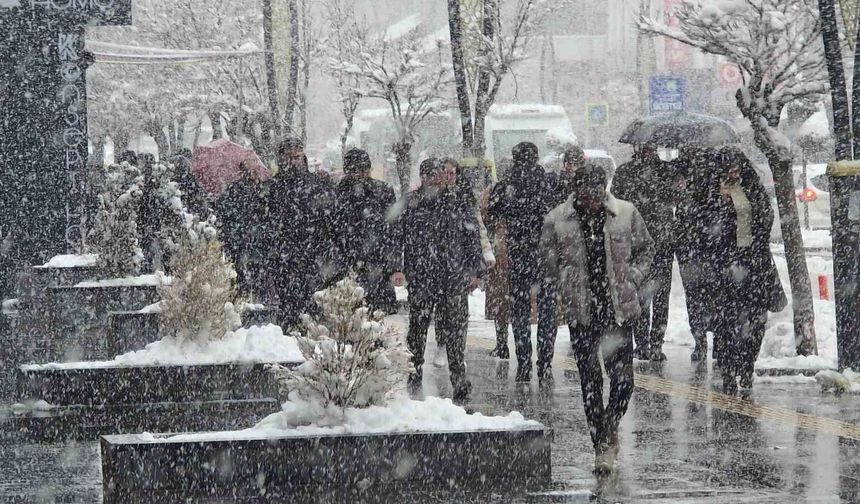 Van'da kar yağışı ve sis etkili oluyor