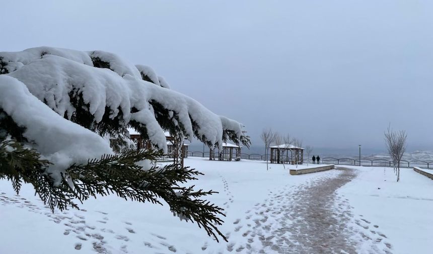 Iğdır Kar Yağışıyla Beyaza Büründü