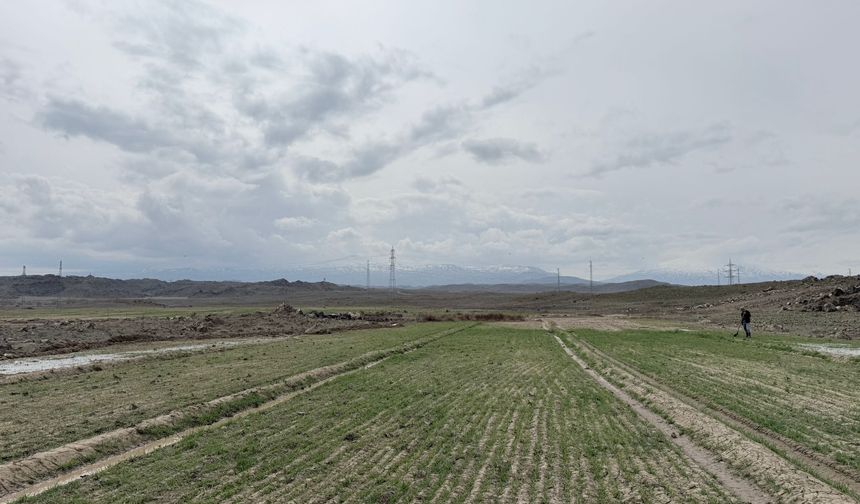 Nevruz Geldi, Doğa Canlandı