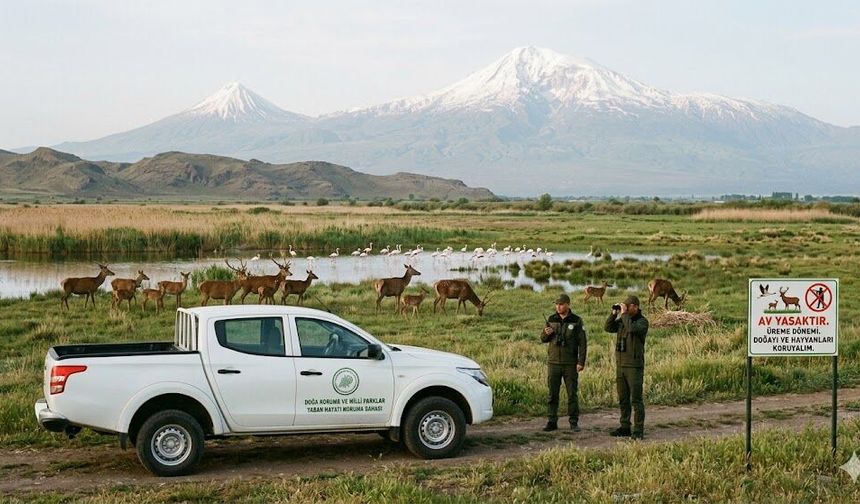 IĞDIR’DA AV SEZONU SONA ERDİ: YABAN HAYATI KORUMA ALTINA ALINDI