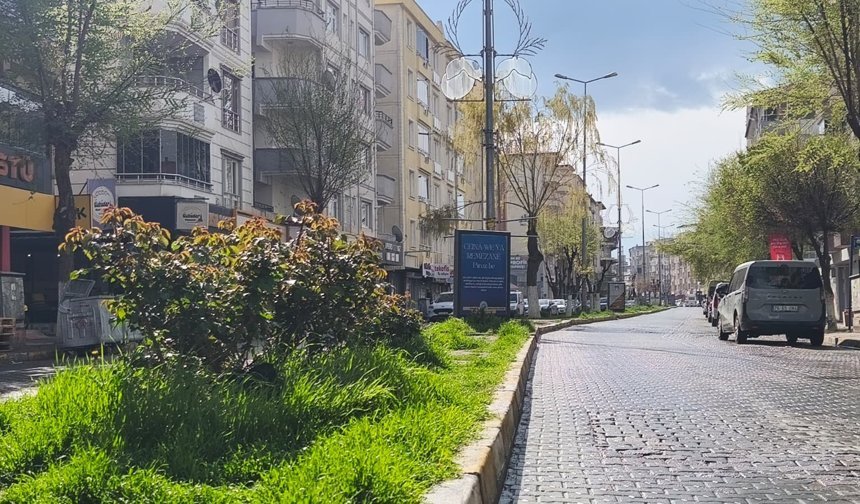 Iğdır’da Hava Bilmecesi: Bir Saat Yağmur, Bir Saat Güneş!