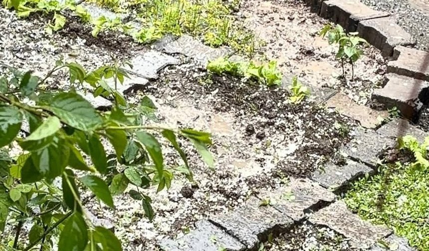 Iğdır'ın Karakoyunlu İlçesinde Sağanak Yerini Doluya Bıraktı