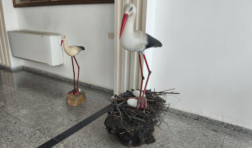 Iğdır’ın Simgesi Leylekler, Valilik Koridorlarında İlgi Odağı Oldu!