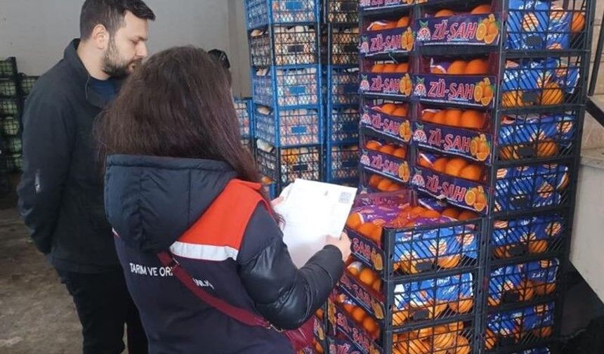 Iğdır’da Toptancı Hallerinde Sıkı Takip: Pestisit Denetimi Yapıldı