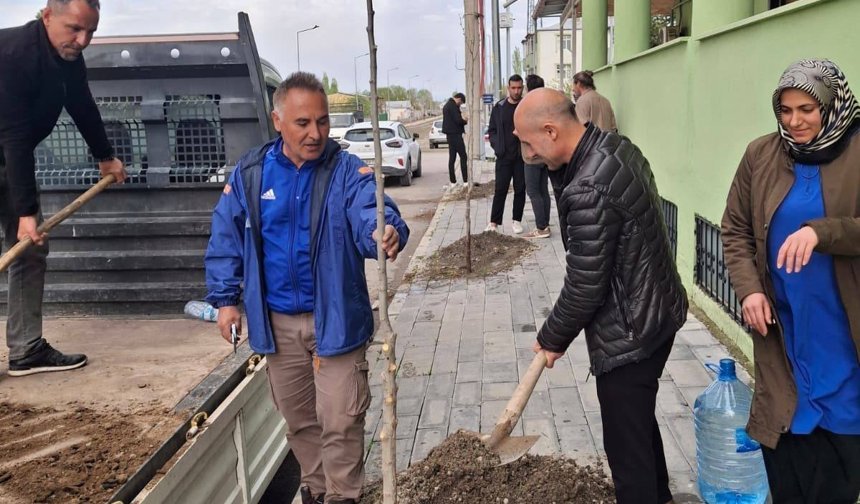 Pir Sultan Mahallesi’ne Çınar Fidanları Dikildi