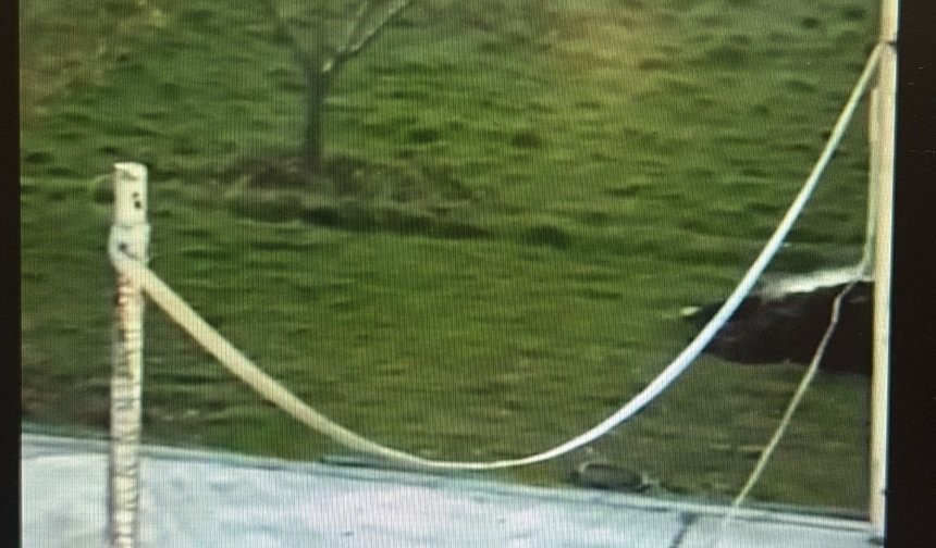 Iğdır’da Kayısı Üreticileri Don Nöbetinde