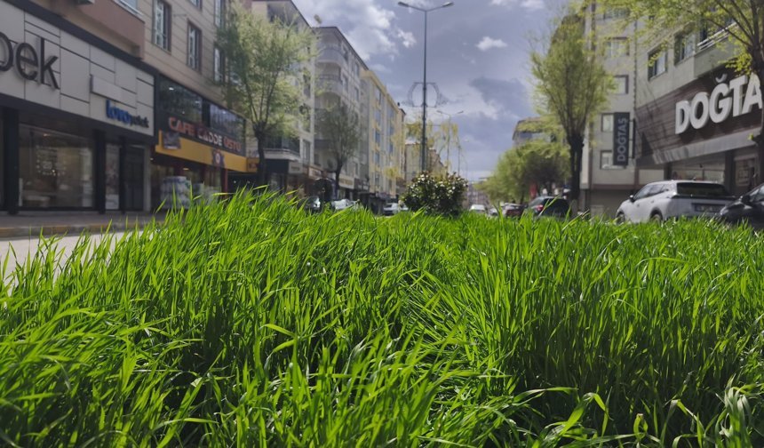 BAHAR YAĞMURLARI IĞDIR’I CANLANDIRDI!