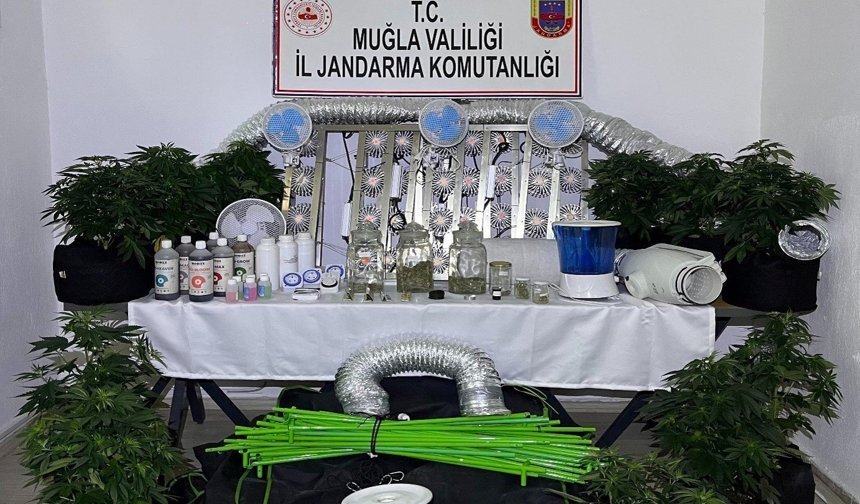 Muğla Jandarmasından zehir tacirlerine Mart ayı darbesi: 173 gözaltı
