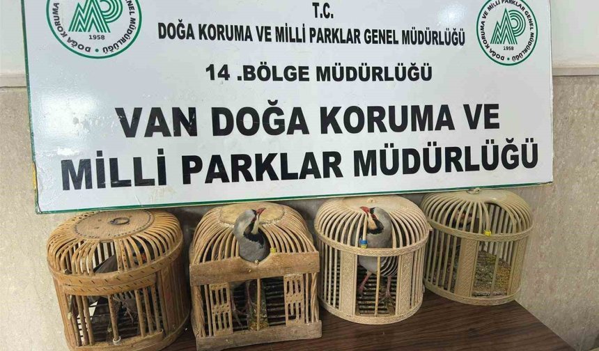 Van'da keklik avlayan şahsa 86 bin 278 lira para cezası