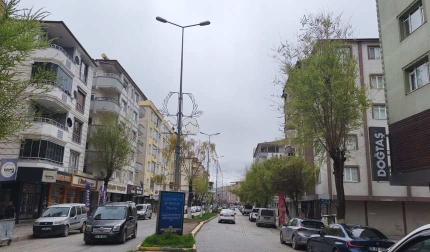 Iğdır'da elektrik altyapısına dev yatırım: Kayıp kaçak azaldı, arıza süreleri yarıya indi