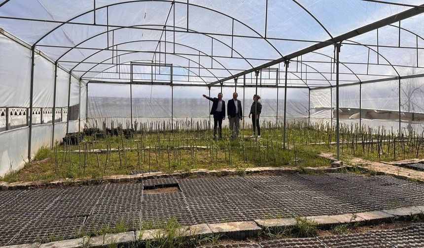 Iğdır Belediyesi Kendi Çiçeklerini Üretiyor