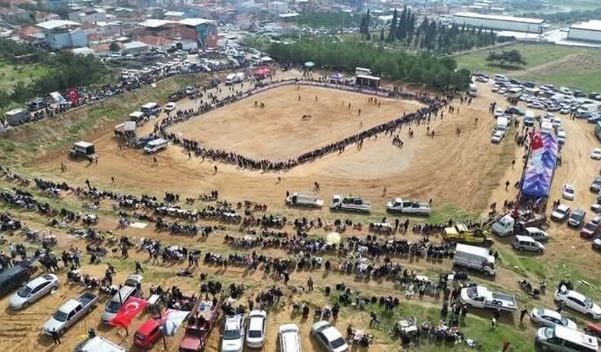 Kemalpaşa'da 3. Boğa Güreşi Festivali heyecanı