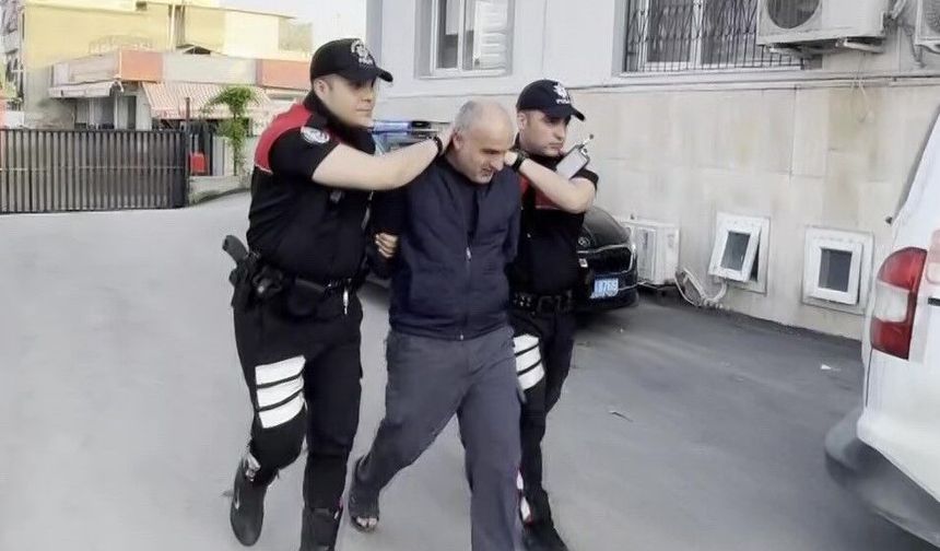 Sahipsiz köpeği sopayla döven şahıs gözaltına alındı