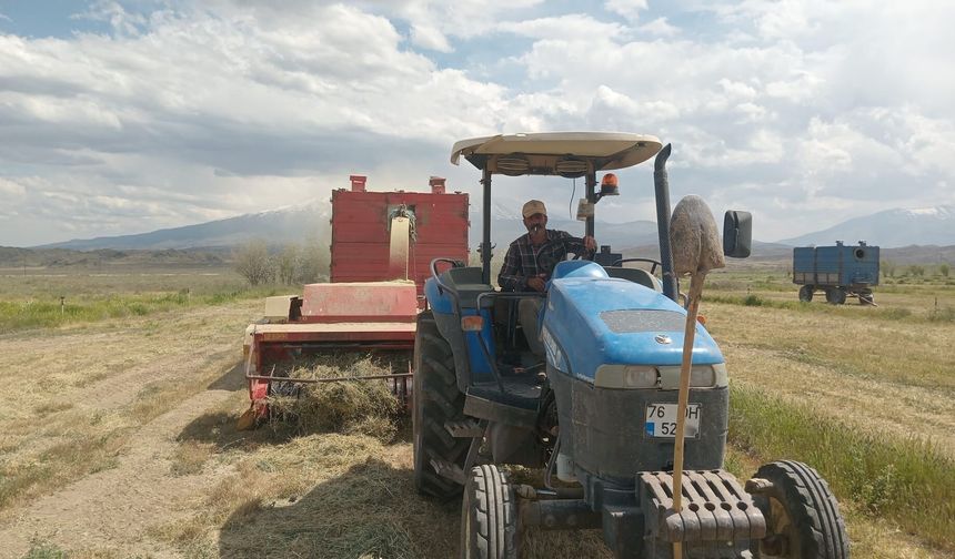 IĞDIR’DA İLK YÜZ MAHSUL TOPLANMAYA BAŞLADI