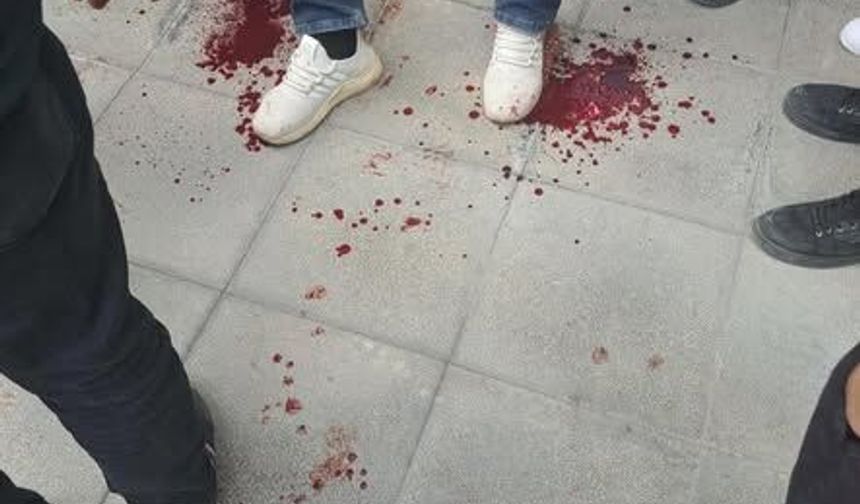 Iğdır’da Satırlı Kavga