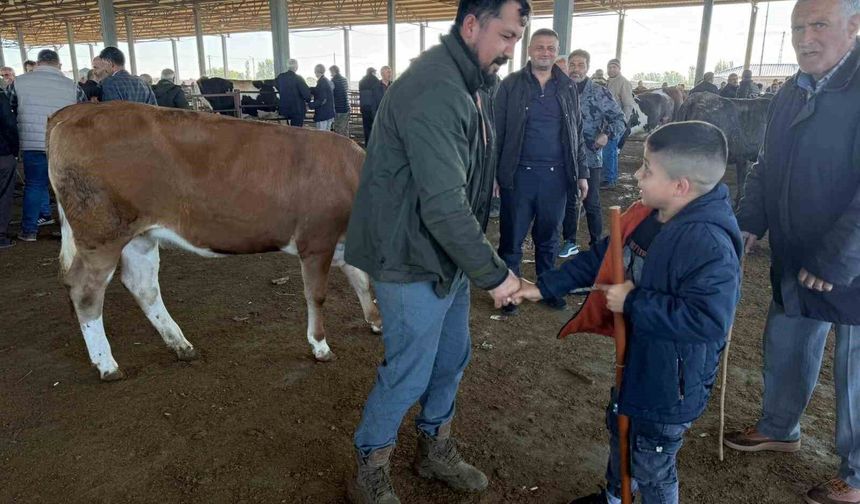 Iğdır'da kurban pazarlıkları devam ediyor: Vatandaş küçükbaşa yöneldi
