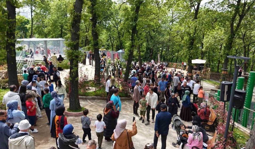 Macera parkı açıldı