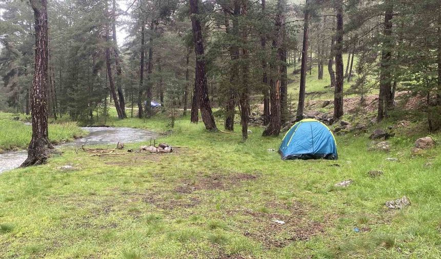Piknik alanında yıldırım düşmesi sonucu 2 kişi yaralandı