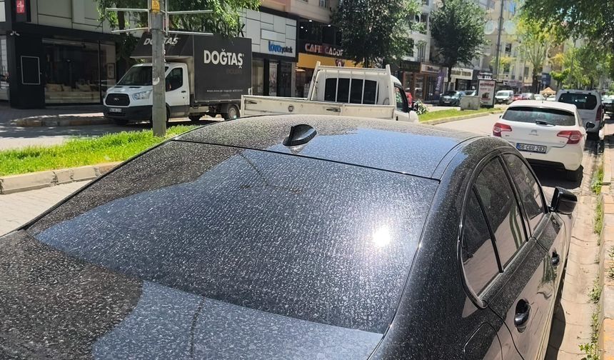 IĞDIR’DA GÖKYÜZÜNDEN YAĞMUR YERİNE ÇAMUR YAĞDI!