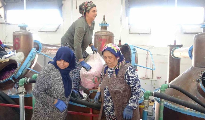 4 Ton gülden elde edilen yağın kilosu 12 bin avroya alıcı buluyor