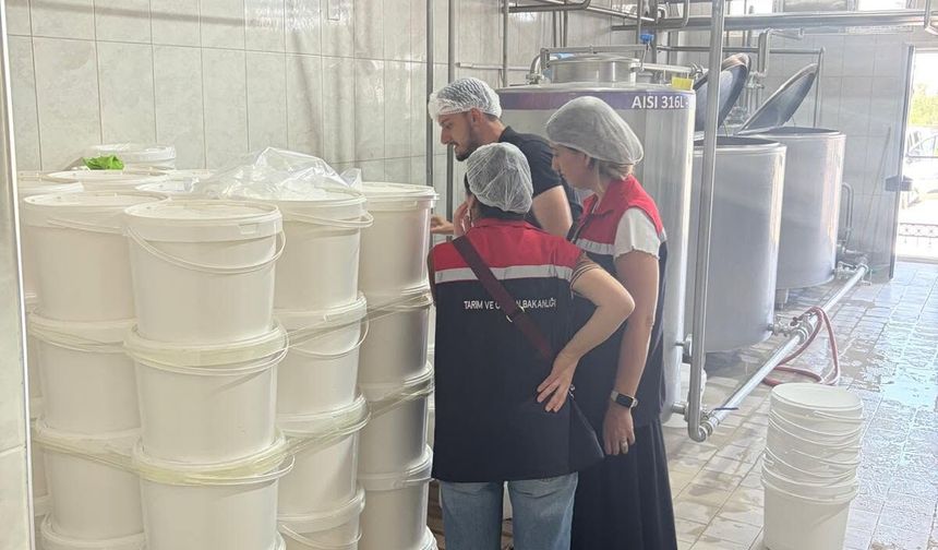 Iğdır'da İl Genelinde Denetim Faaliyetleri Aralıksız Sürdürülüyor