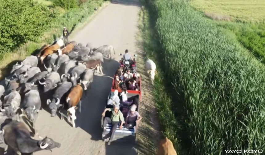 IĞDIR’DA  “ANADOLU SAFARİSİ” YOĞUN İLGİ GÖRÜYOR