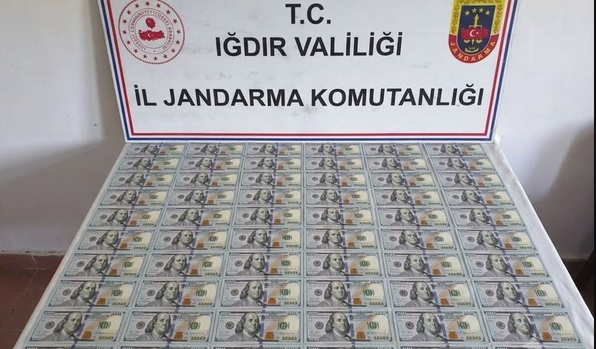 IĞDIR’DA SAHTE DOLAR OPERASYONU: PİYASAYA SÜREMEDEN YAKALANDI!