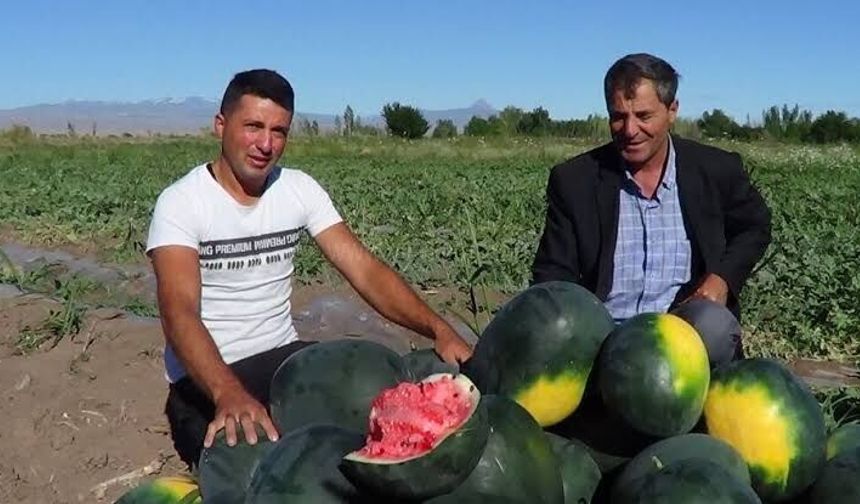 Iğdır'da Erken Hasat Heyecanı: İlk Karpuzlar 29 Haziran'da Tüketiciyle Buluşuyor