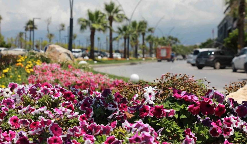İskenderun sahili renkli çiçeklerle süslendi.