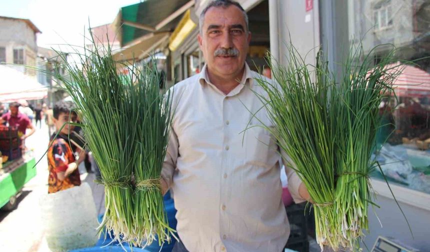 Van'da karların geç erimesi şifalı otların tezgah ömrünü uzattı