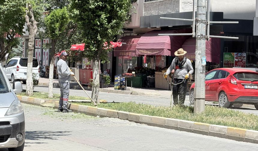 Iğdır’da Refüjlerde Temizleniyor