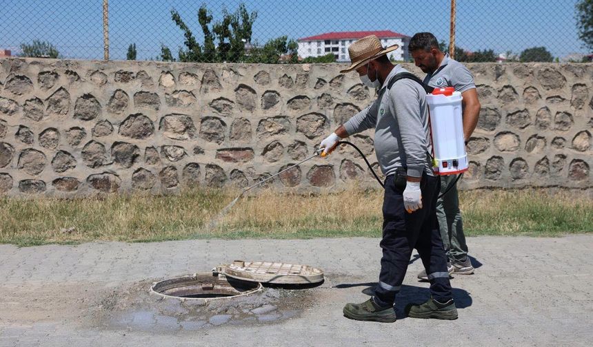 Iğdır Belediyesi’nden Kent Genelinde Kapsamlı İlaçlama Seferberliği