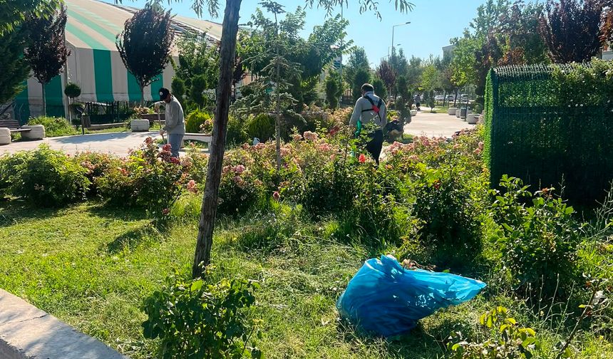 Valilik Yolu Yürüyüş Yolunda Bahar Temizliği: Iğdır Belediyesi Ekipleri Sahada