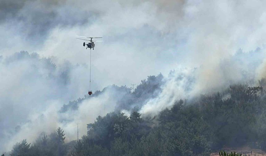 Balıkesir'de tek yangın cephesi: Gömeç