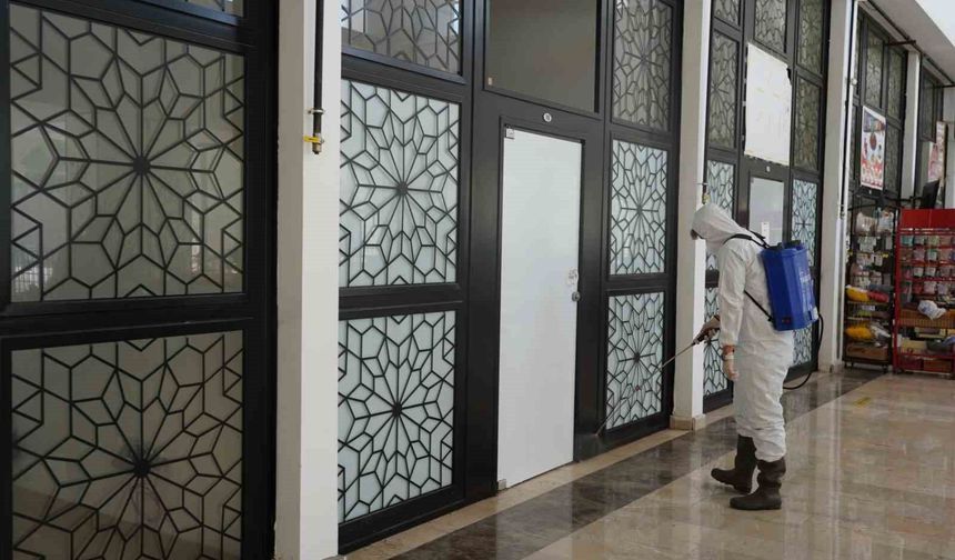 Bilecik Belediyesi'nden çekirgelere karşı erken önlem