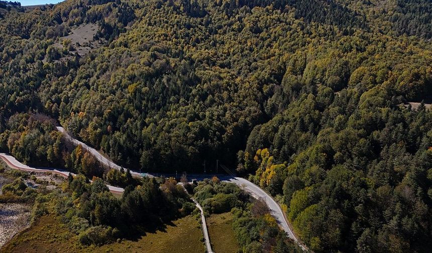 Bolu'da ormanlara giriş 30 Eylül'e kadar yasaklandı