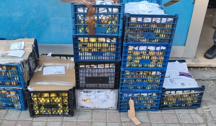 IĞDIR KAYISISI BÜYÜKŞEHİR YOLCULUĞUNA BAŞLADI