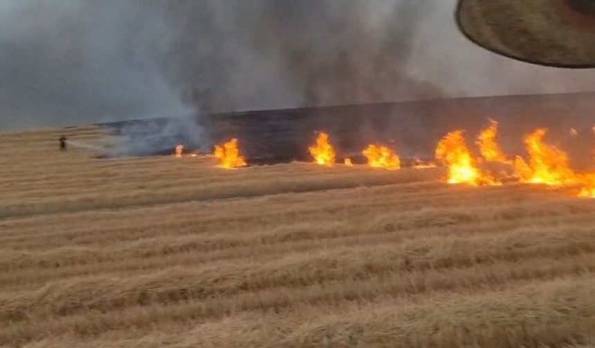 Diyarbakır'da 5 bin dönüm arazi alevlere teslim oldu