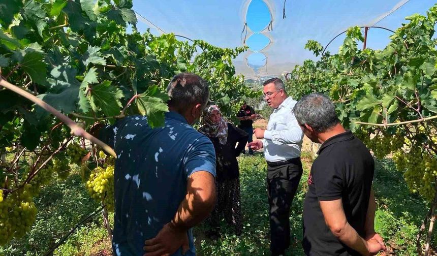 Kaymakam Dalak'tan üzüm üreticisine moral ziyareti