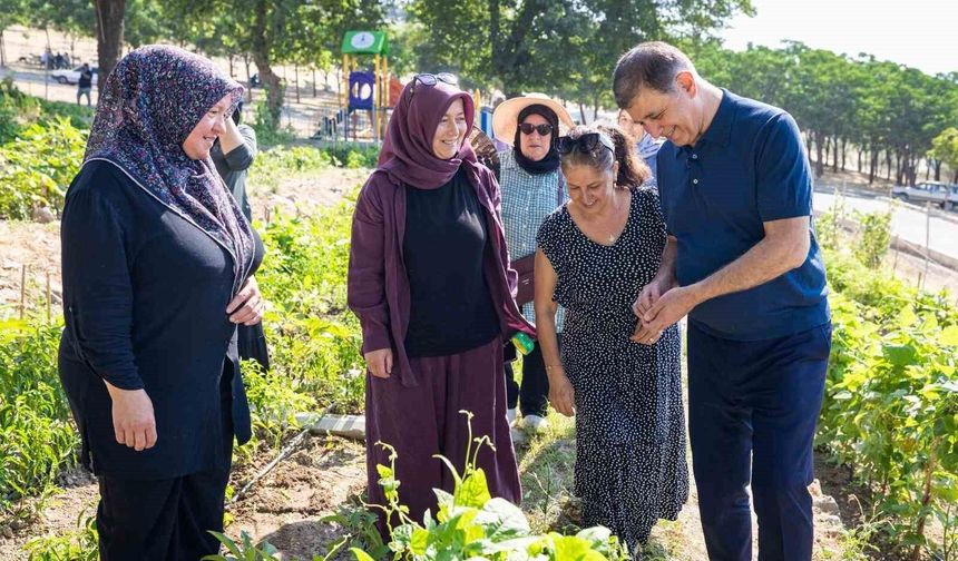 Toprakla buluşan kadınların hasat sevincine Başkan Tugay da ortak oldu