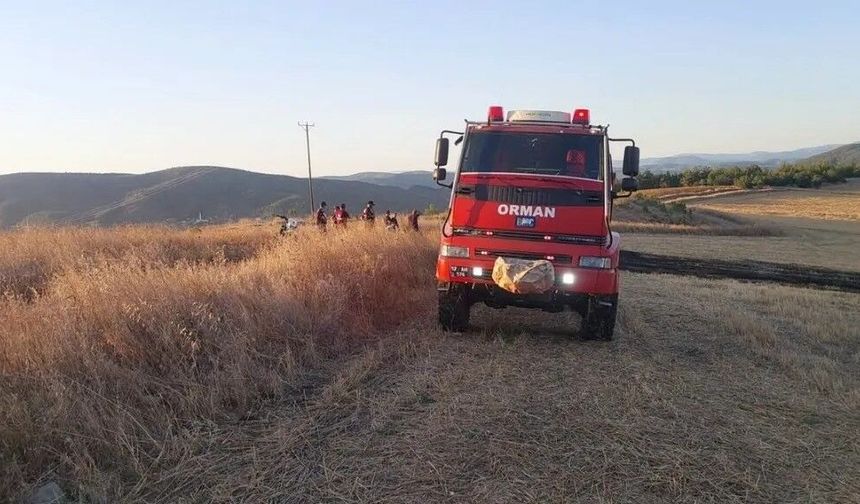 Anız yangını korkuttu