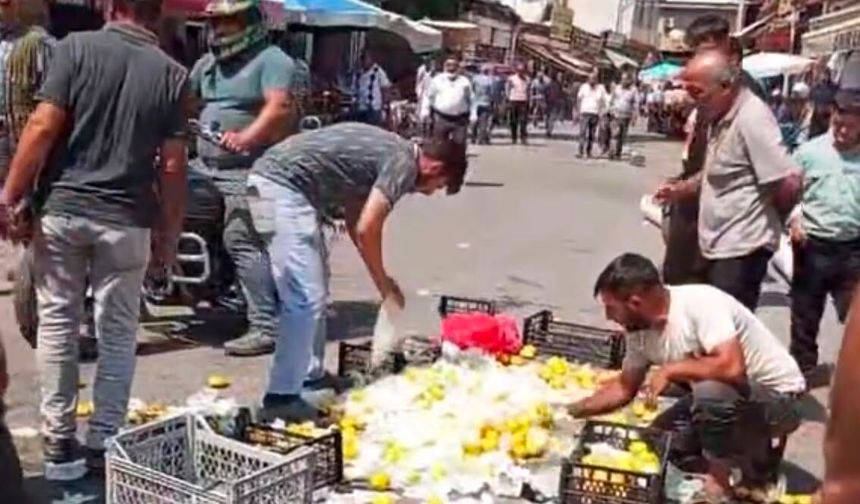 Sebzeler Yerlere Saçıldı