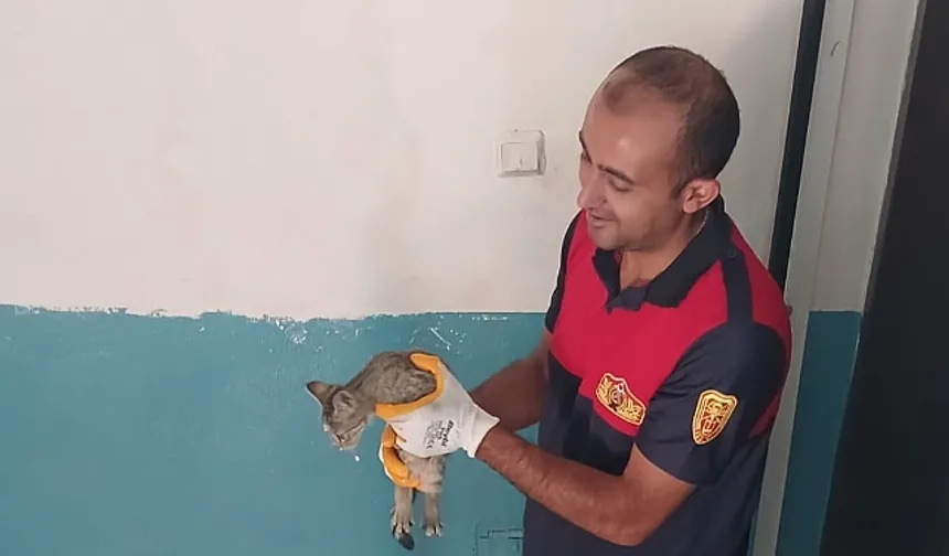 Iğdır’da Balkonda Mahsur Kalan Kedi Yavrusunu İtfaiye Kurtardı