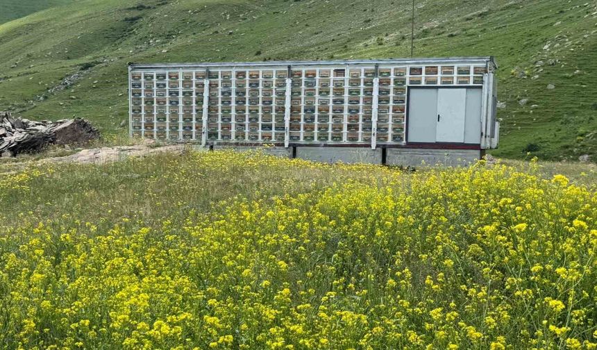 Kars'ta arıcılıkta devrim: Türkiye'nin en büyük mobil arı üretim üssü hizmete girdi