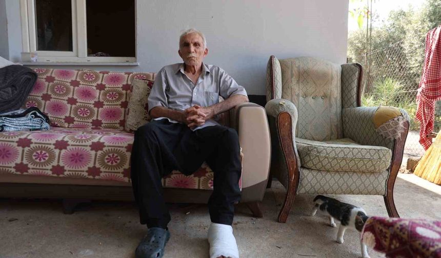 Yaşlı adama çarpıp hiçbir şey olmamış gibi yoluna devam etti