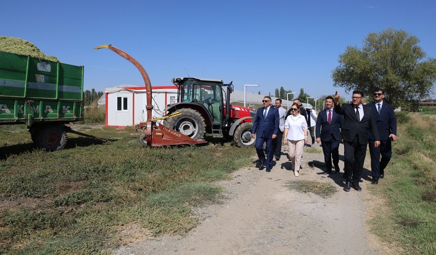 Iğdır Üniversitesinde Hasat Mesaisi: Rektör Gürel Silaj Çalışmalarını Sahada İnceledi