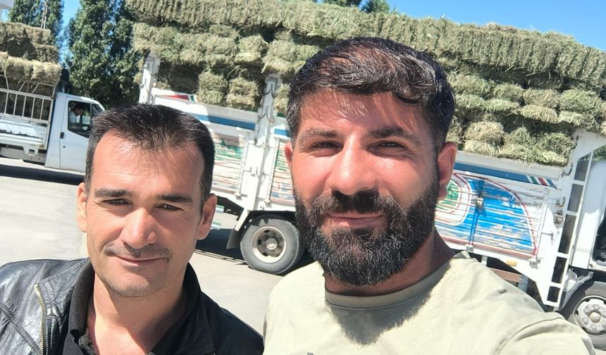 IĞDIR’DA YONCANIN DÖRDÜNCÜ BİÇİMİ YAPILDI: BALYANIN KİLOSU 9 TL