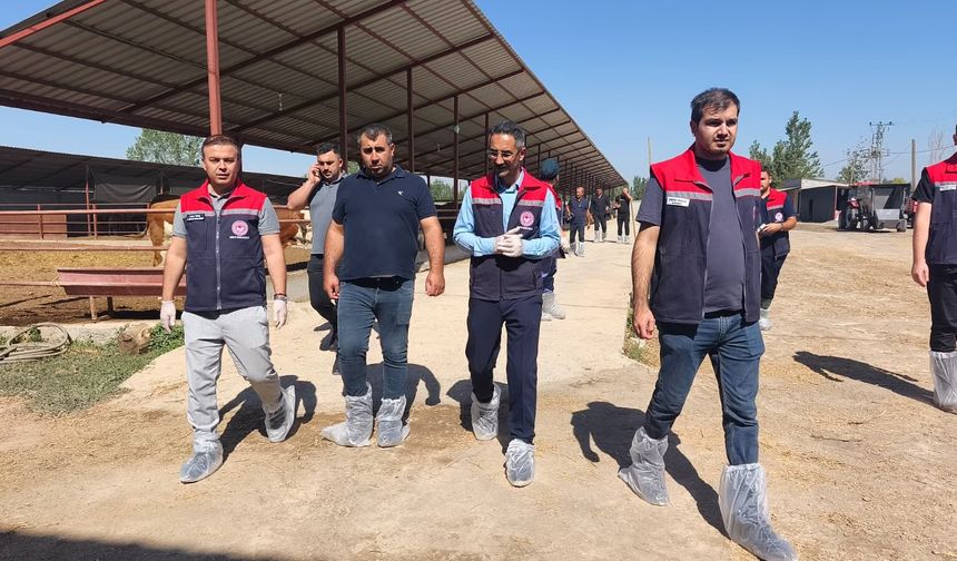İL TARIM VE ORMAN MÜDÜRÜ TİNGİŞ AŞILAMA ÇALIŞMALARINI DENETLEDİ